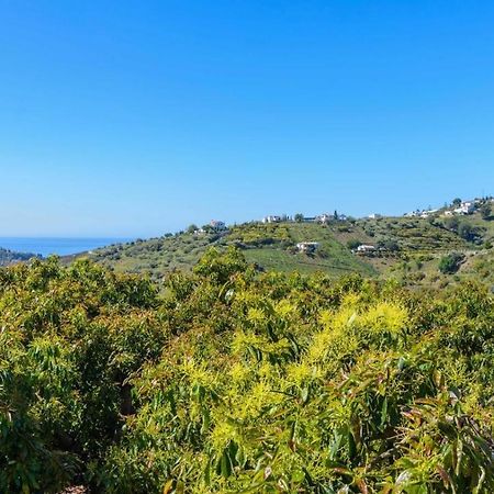 Villa Javier De Frigiliana By Ruralidays Exteriör bild