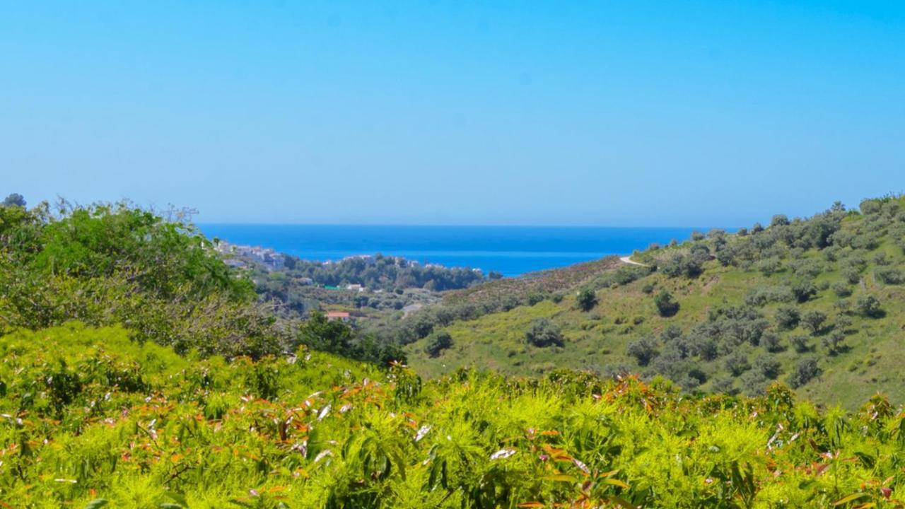 Villa Javier De Frigiliana By Ruralidays Exteriör bild